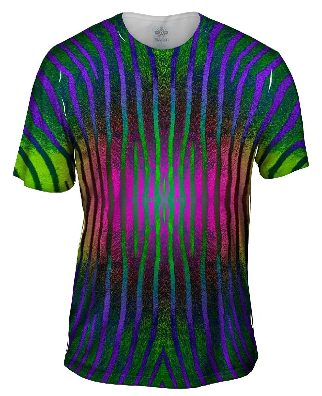 Pink Purple Green Zebra Stripes